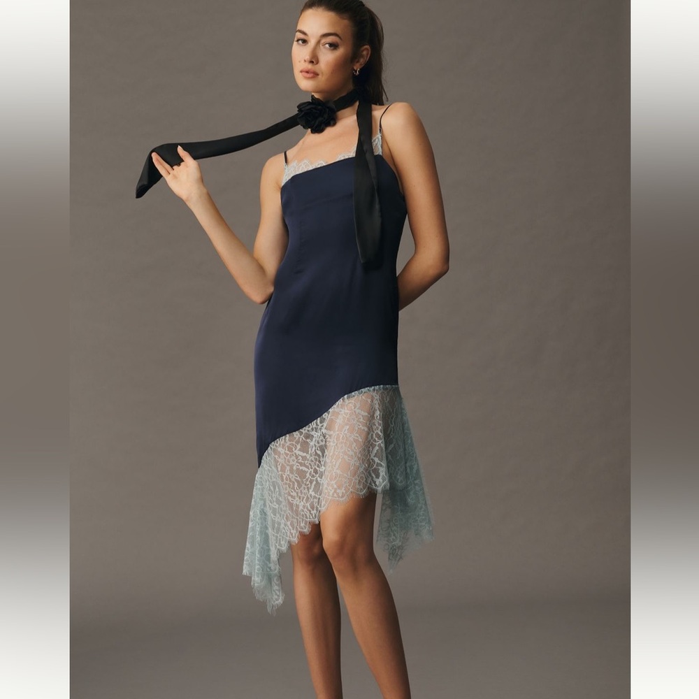 NWT Lace-trimmed Dress by Anthropologie size 2